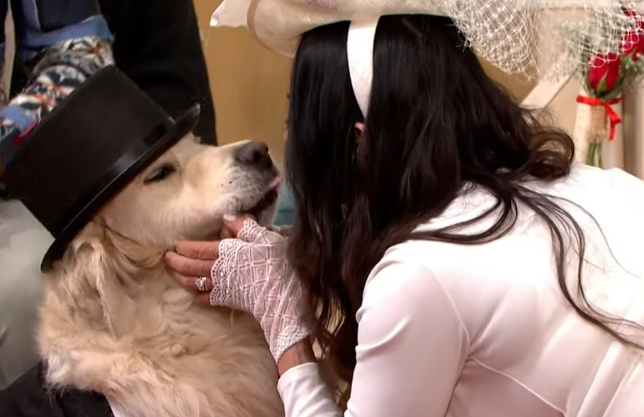 英國女子霍德多年尋覓仍未遇到真命天子，讓她決定嫁給愛犬。（翻攝自This Morning youtube）