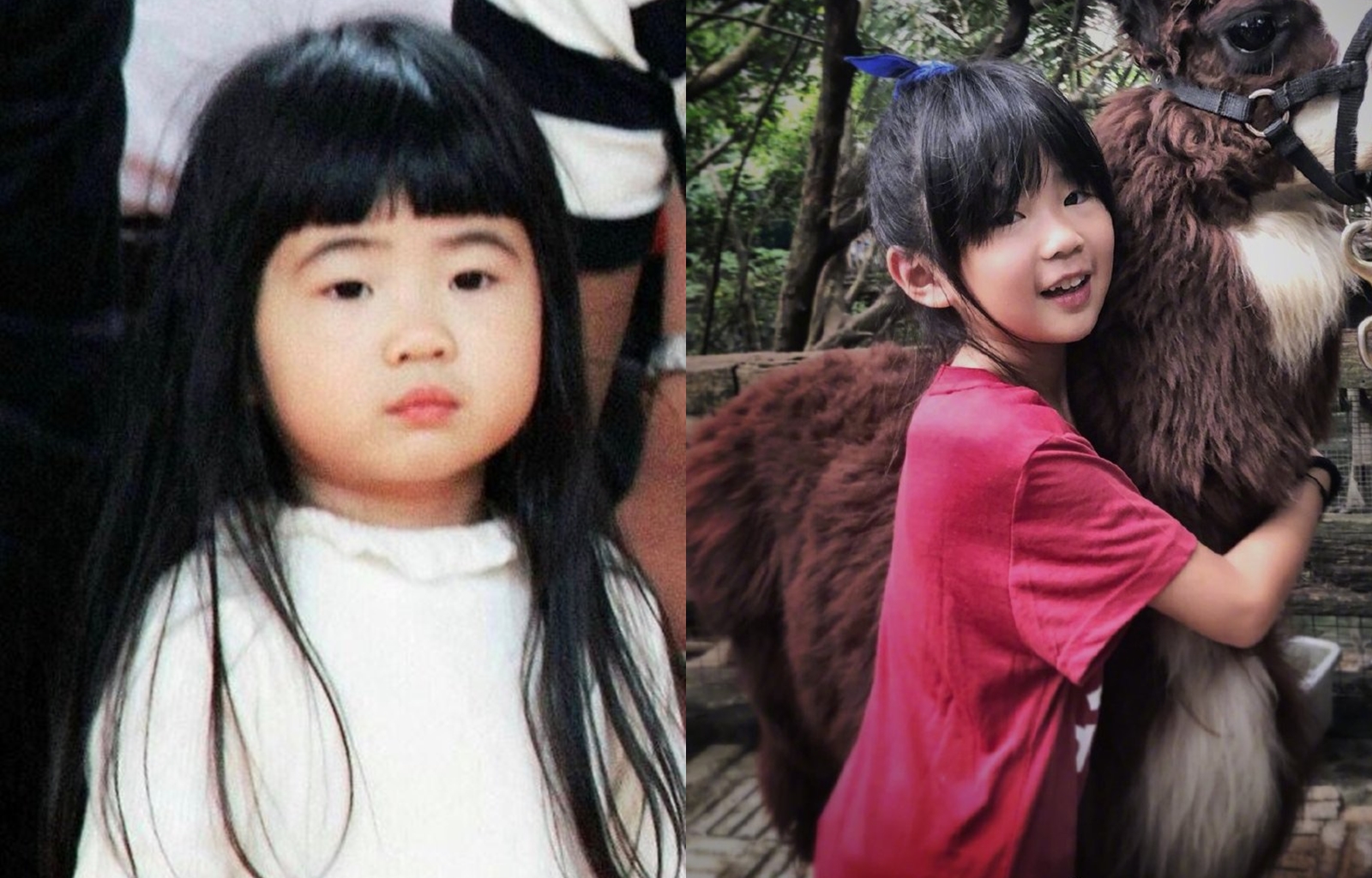 當年Grace因呆萌可爱的外表和性格大受網友歡迎，如今已是小少女。（翻攝自曹格微博）