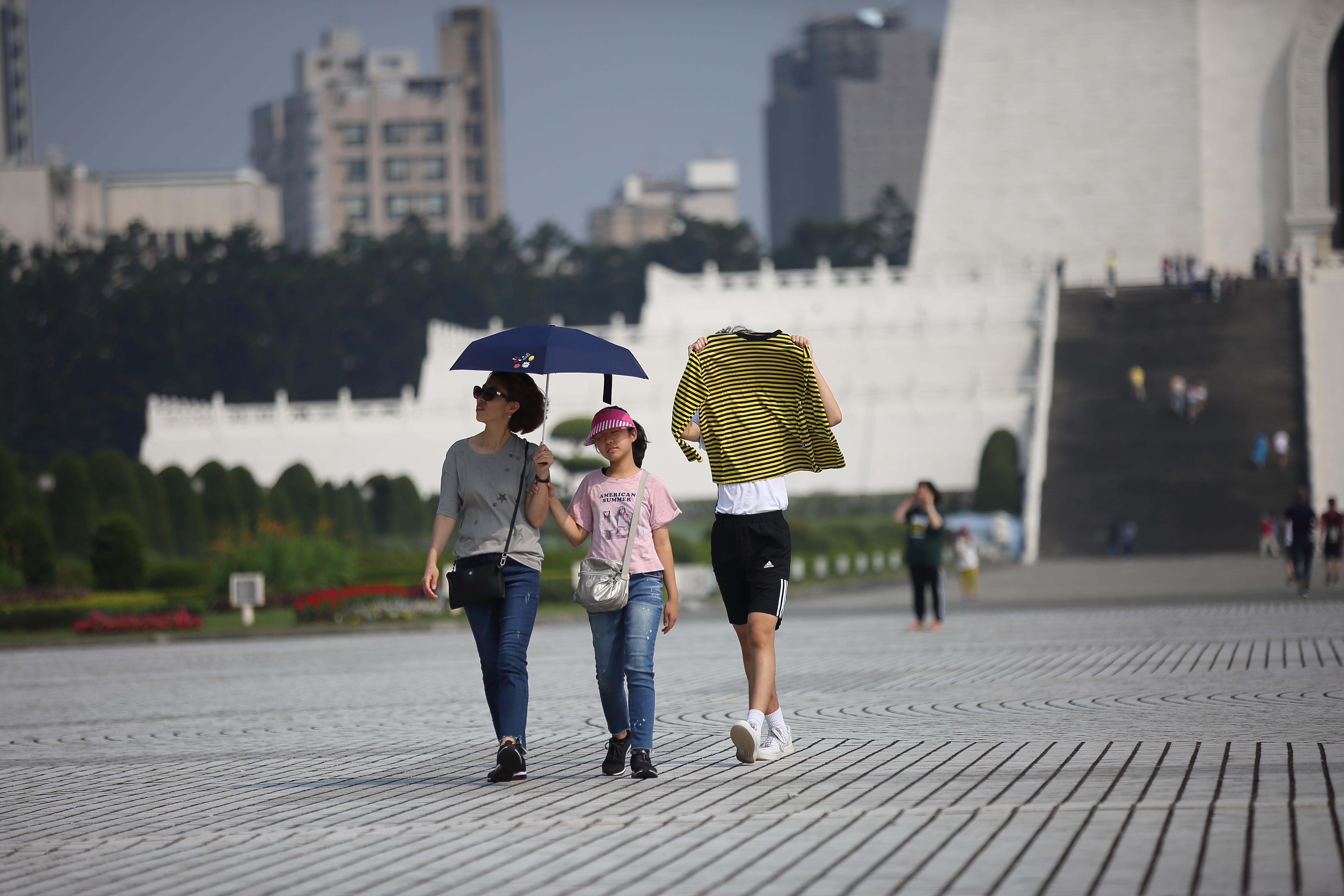 第九號颱風利奇馬生成，估週三後將影響台灣。