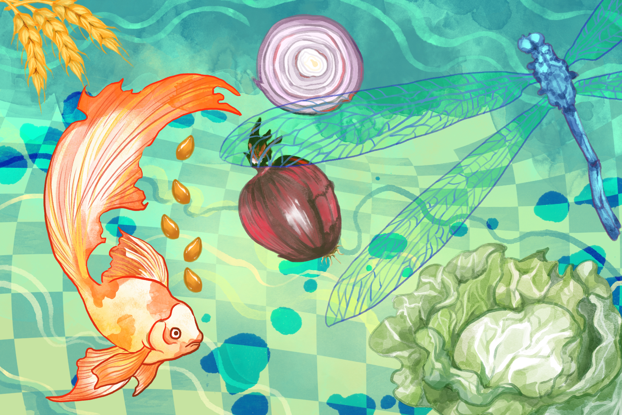 【王道還科普專欄】世界如棋盤