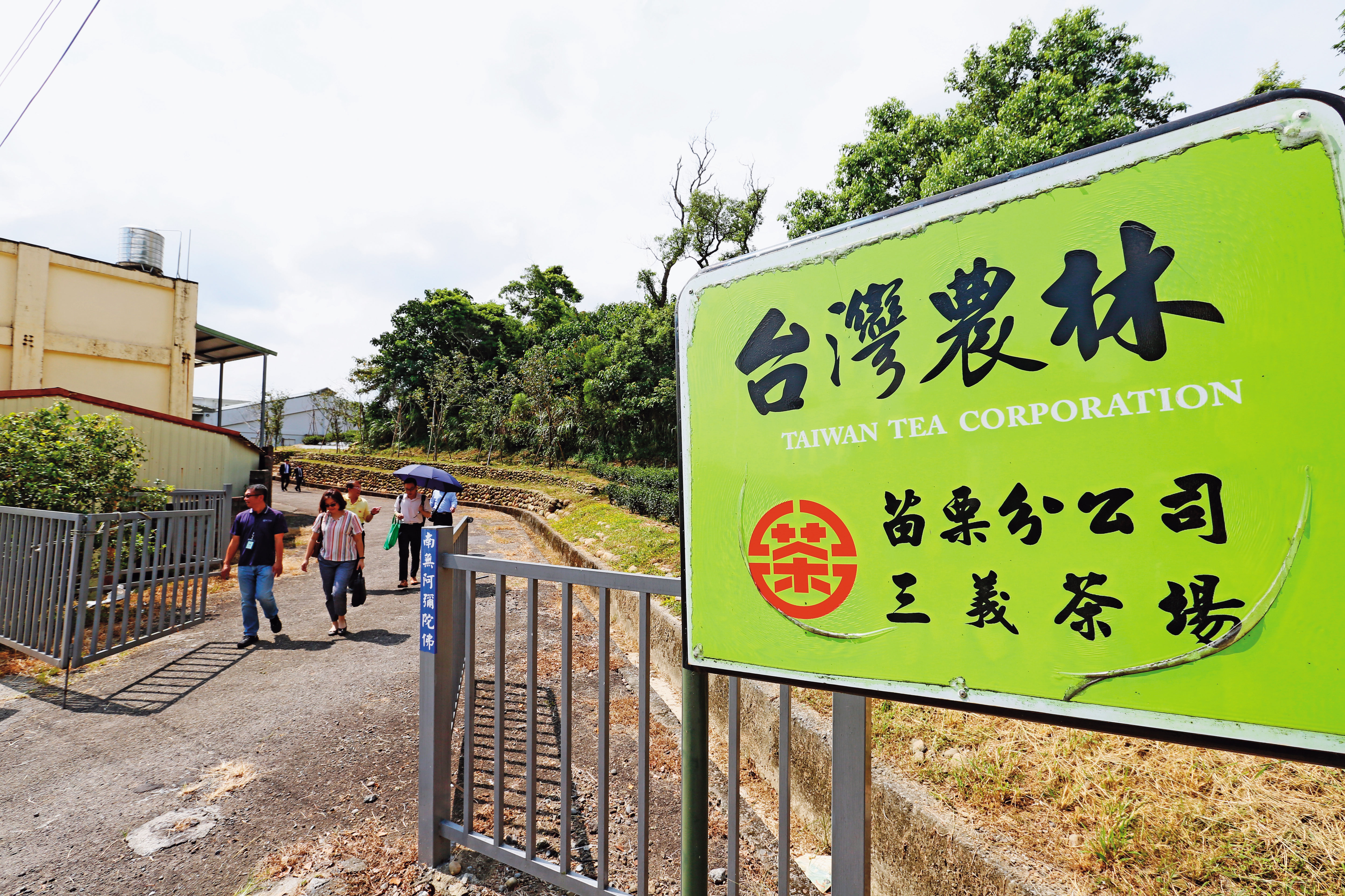 農林是百年茶廠，近年已轉型為土地開發商。