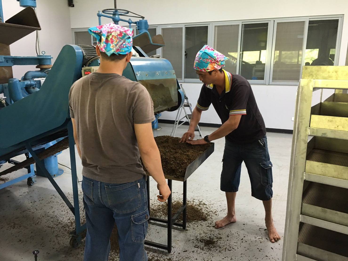 農林手握近4,000坪土地，曾是全台茶葉最大生產商及出口商。（農林提供）