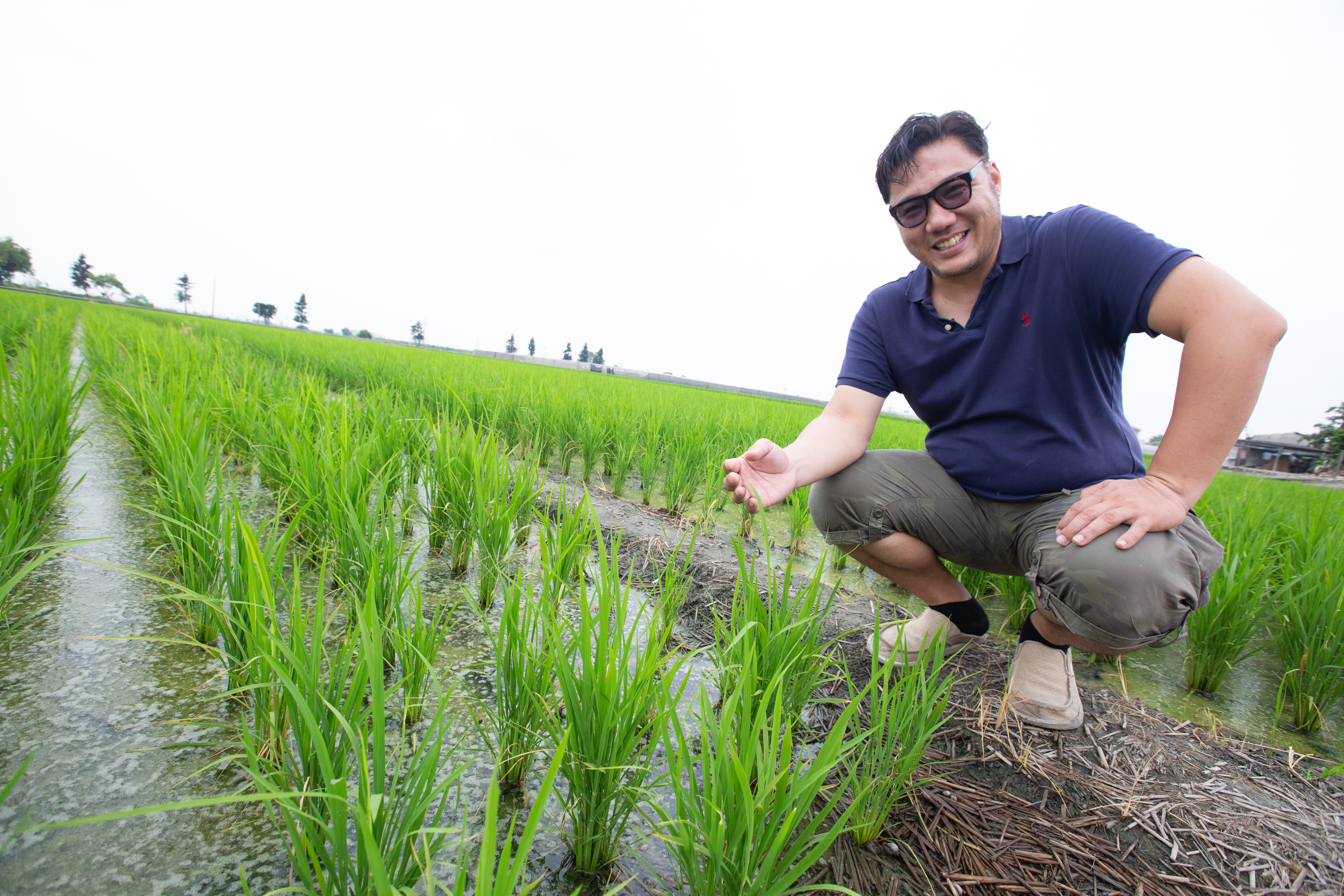 董淵翔協助岳父製作麻糬，並應岳父要求種稻瞭解糯米特性。