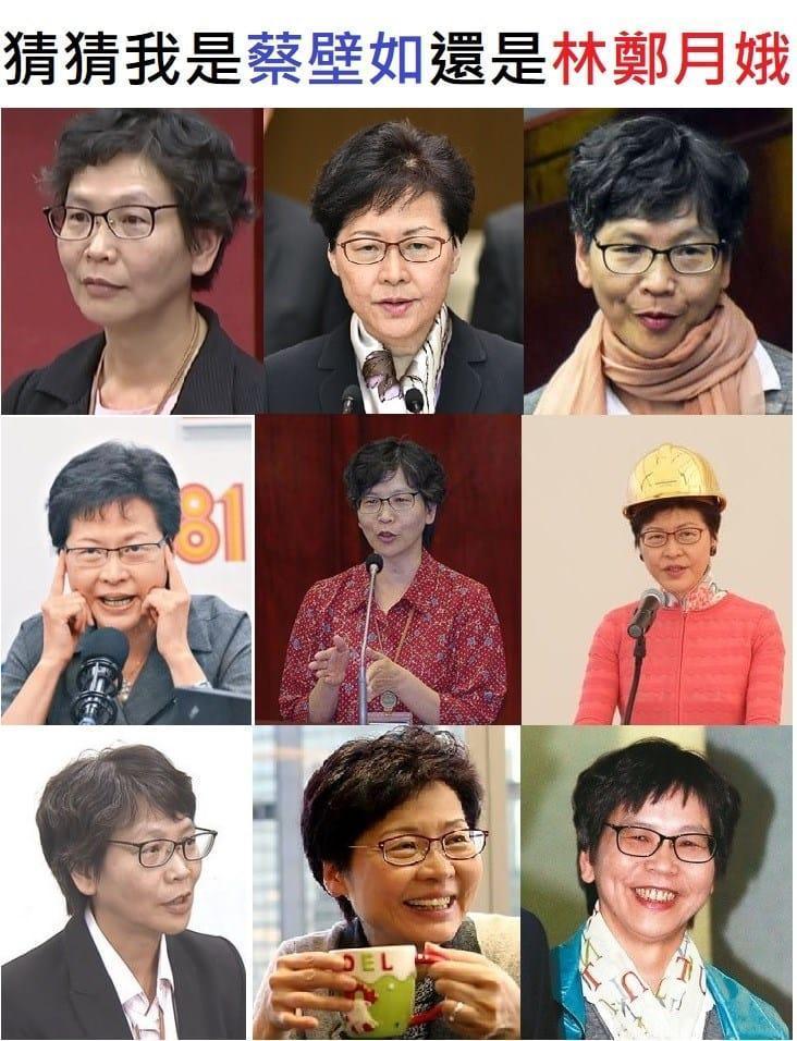 蔡壁如和林鄭月娥的照片被做成九宮格比對。（翻攝自曾韋禎臉書）