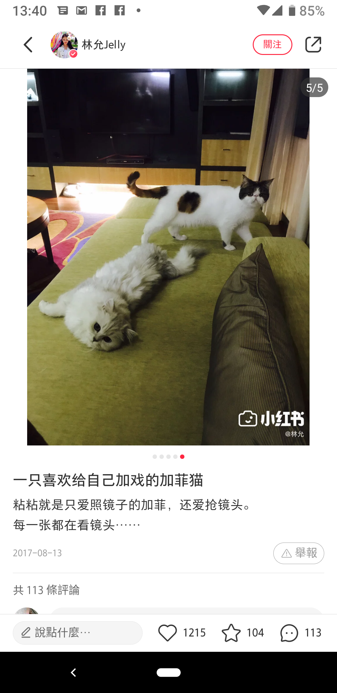 其實這隻貓叫做粘粘，不是妮妮。（林允小紅書）