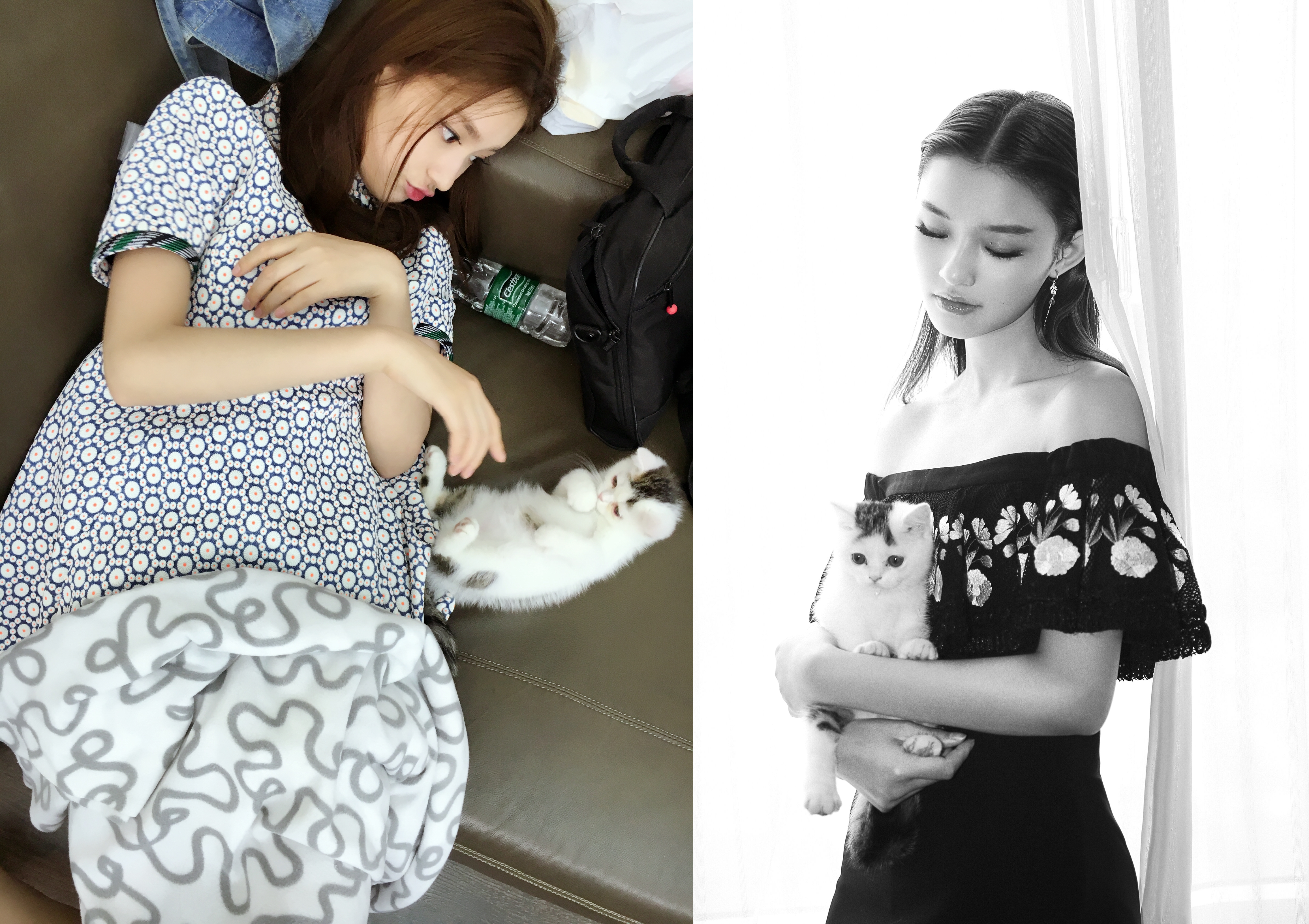 中國大陸女星林允前幾年不時會在微博貼出愛貓照，之後就很少再見她再繼續曬貓，最近有爆料影射她棄養貓咪，貓還病死了。（合成圖，林允微博）