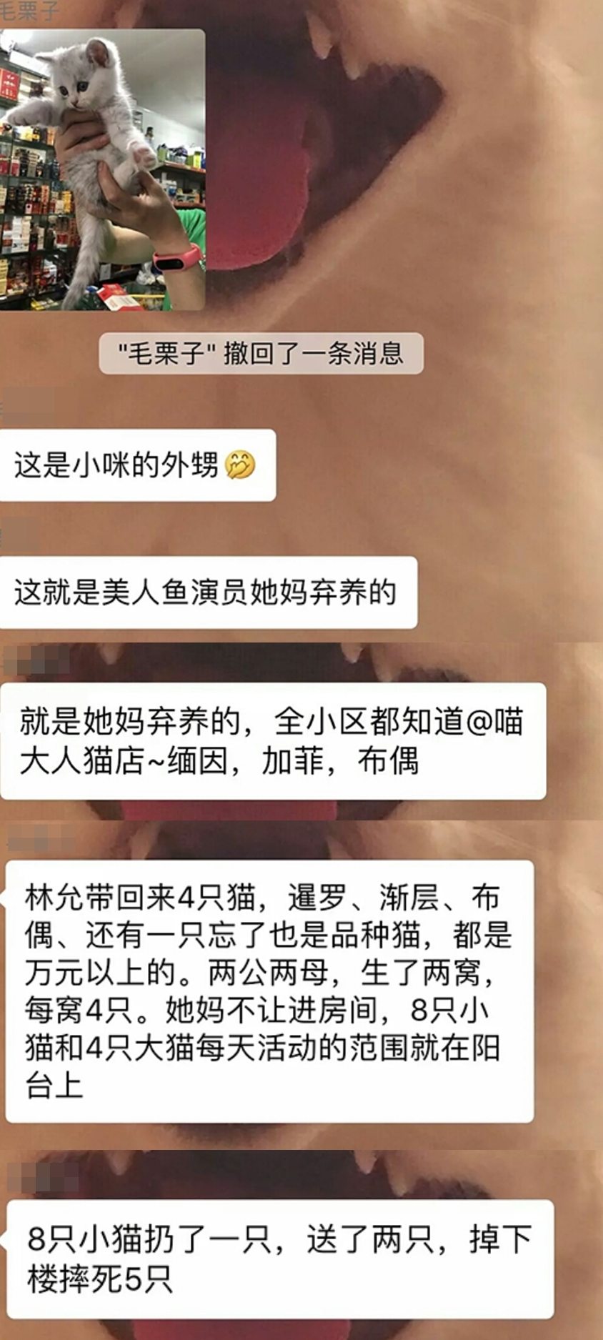對話紀錄中看出有人疑似與林允媽媽住同一小區，爆料林允媽媽棄養貓咪，還有5隻小貓摔死。（晉江論壇）