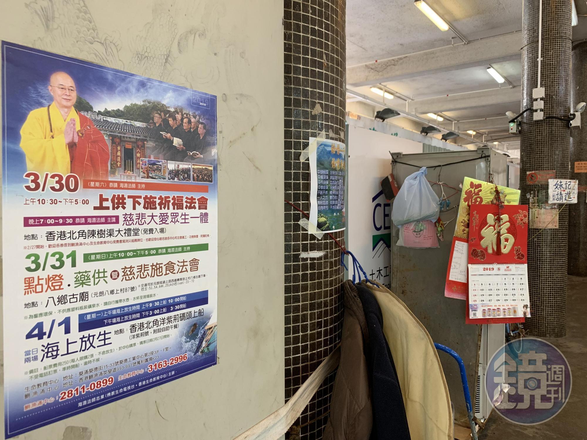 北角碼頭常年貼著海濤的放生活動布告。