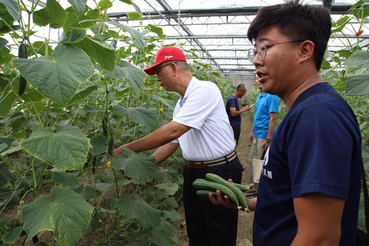 目前青農共同面臨到的問題還是「市場不足」。
