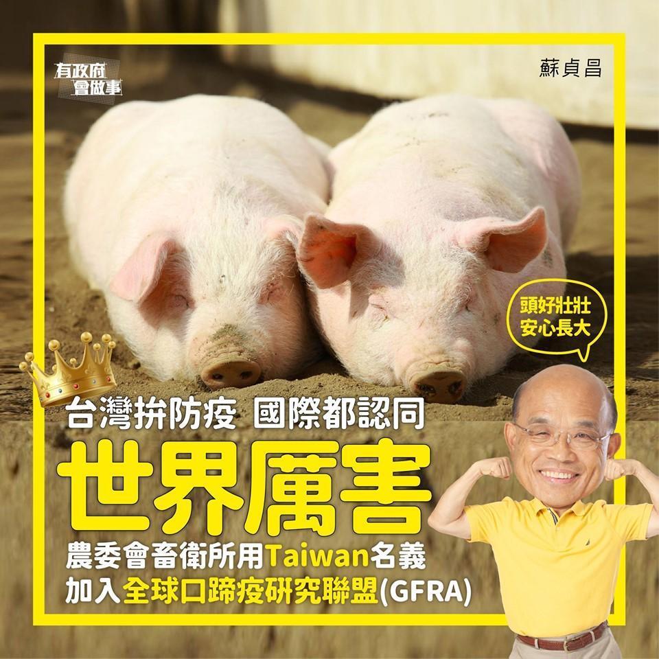 蘇貞昌在臉書宣告台灣豬將可以外銷。（翻攝臉書）