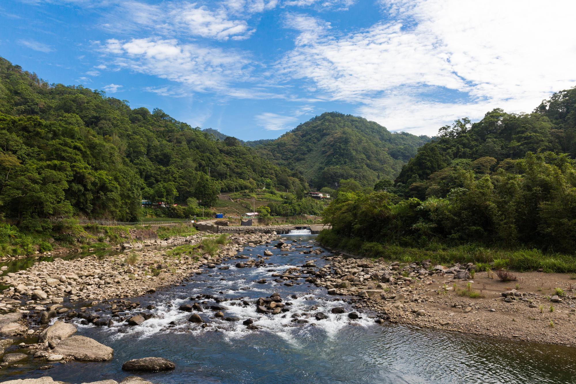 2016年楊姓溯溪教練等人帶團到坪林溯溪，未料山區降下百毫米驟雨，溪水暴漲，造成5人溺斃。