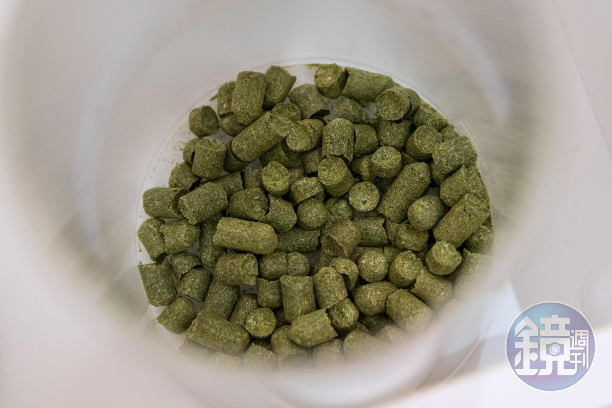 三得利「The PREMIUM MALT’S」使用歐洲濃香型的酒花。
