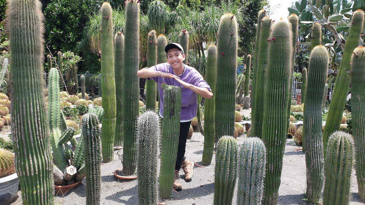 吳俊諺為主持的八大綜合台外景節目「台灣第一等」，前往彰化田尾公路花園的仙人掌園，朝聖這座網路熱門的打卡點。（八大提供）