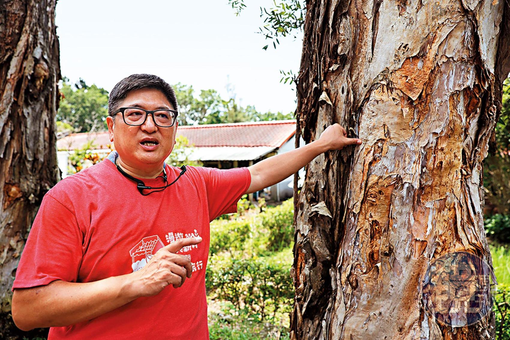 導陳武強已住在中興新村將近50年。