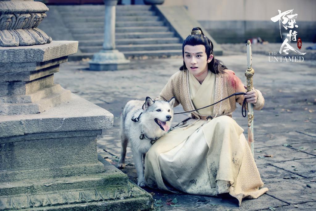 大陸男星漆培鑫在《陳情令》飾演金凌角色，個性任性好強。（翻攝自陳情令微博）