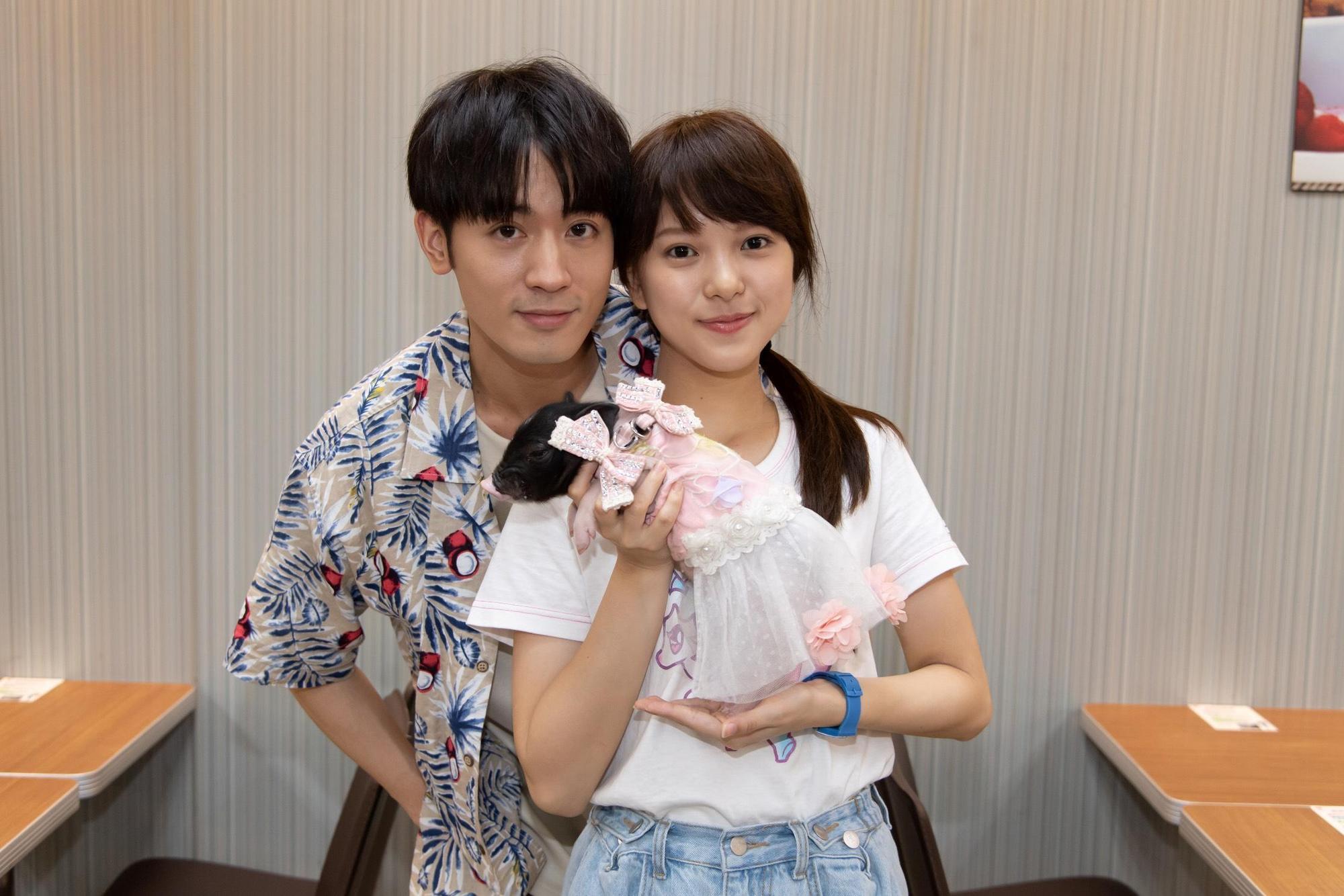 吳思賢、項婕如兩人不停逗著豬豬玩想拉攏感情。(三立提供)