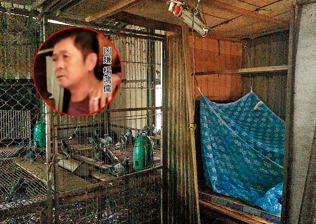 桶屍案嫌犯躲在台南偏僻山區的鴿舍中。