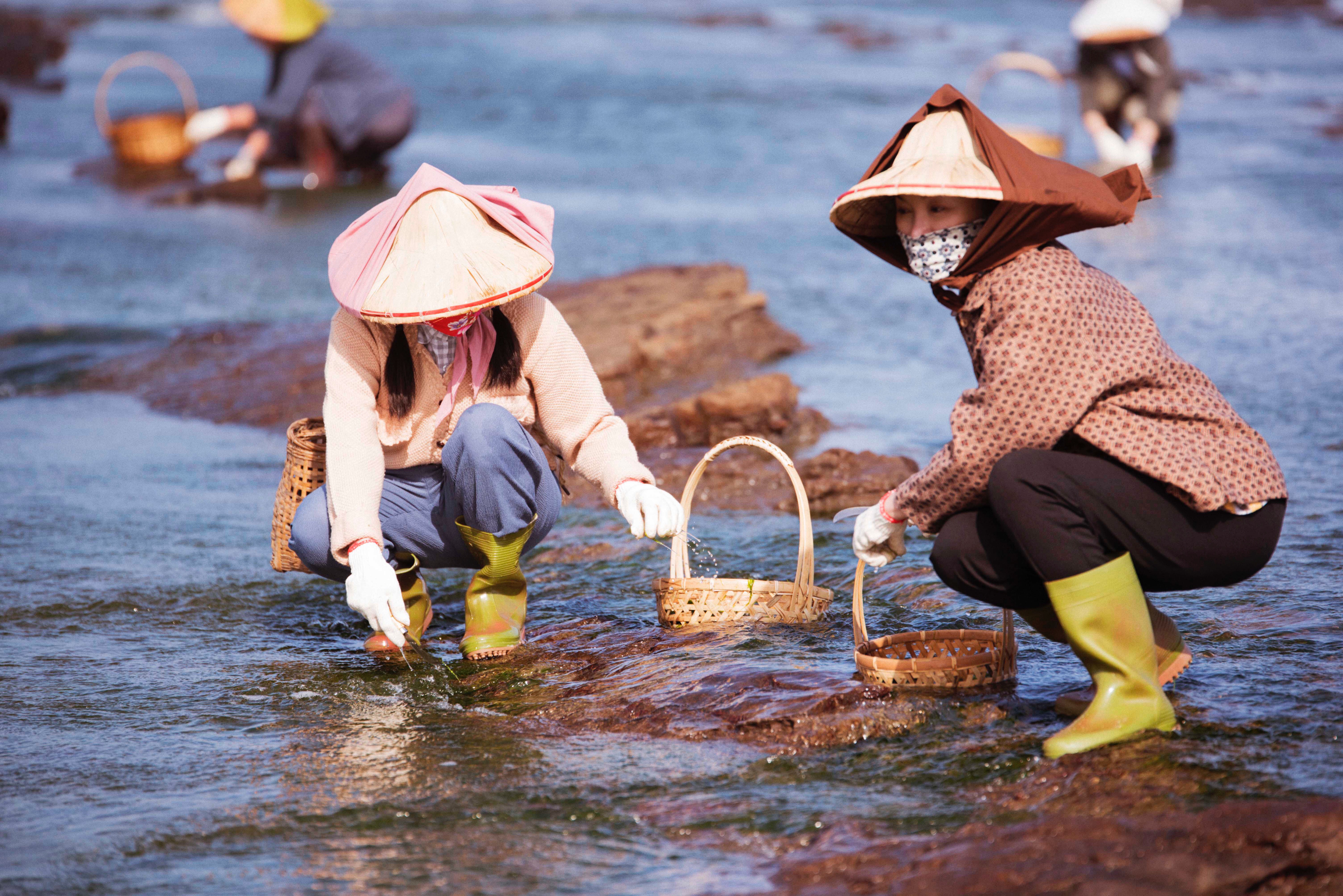 這場「採海菜」的海邊戲，拍攝當天風浪相當大，張瓊姿本來是用跪的採海菜，瞬間海水暴漲，風浪又大站都站不穩。（公視提供）