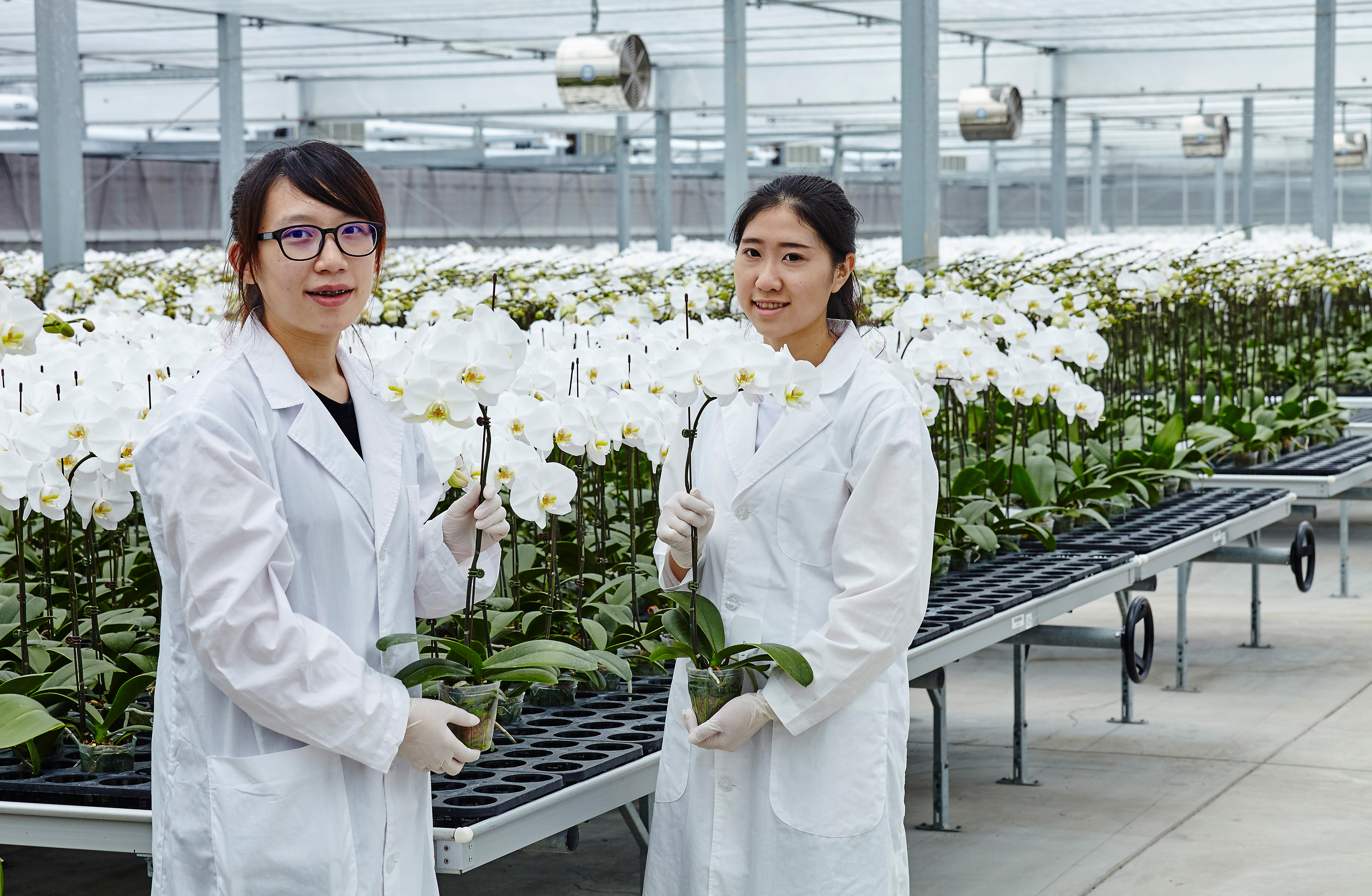 李世聰投資眼光精準，事業版圖擴及建設、保養品和金融業。（真怡提供）