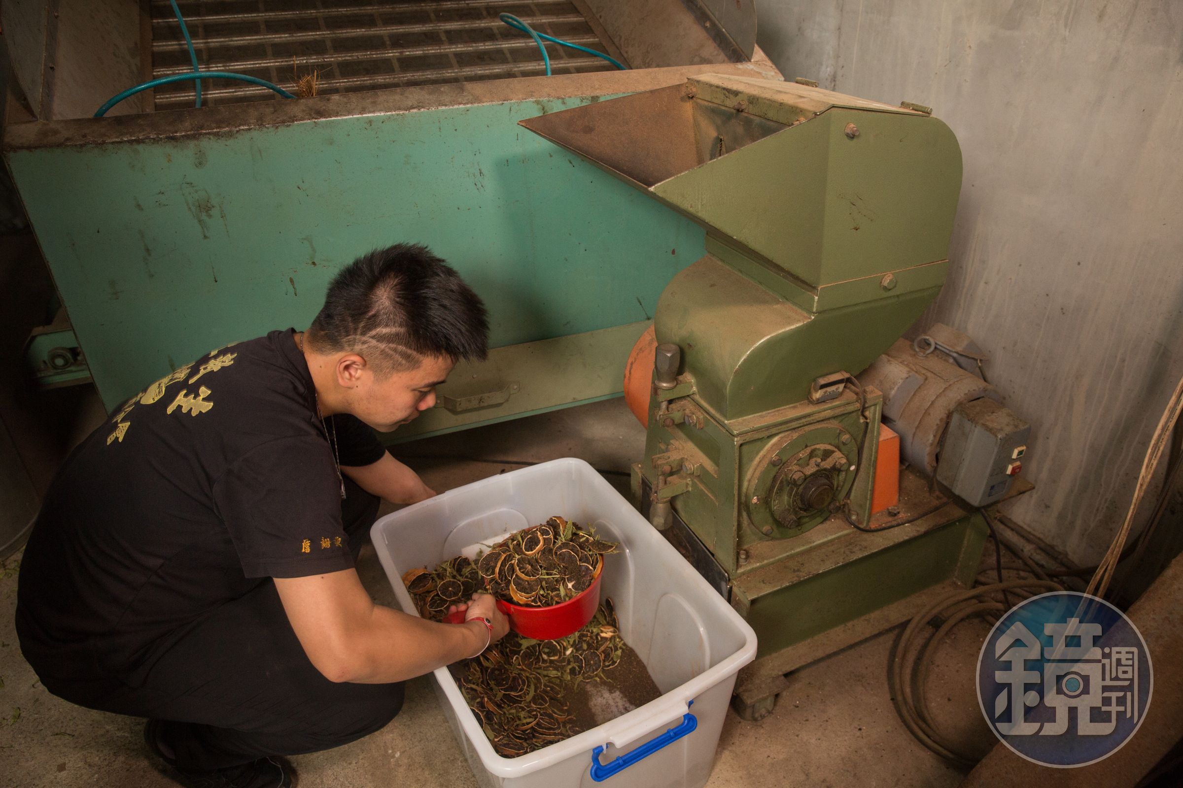 詹翔欽把曬乾、烤過的檸檬片與甜菊葉、紅茶一起放進機器中攪碎，香味四溢。