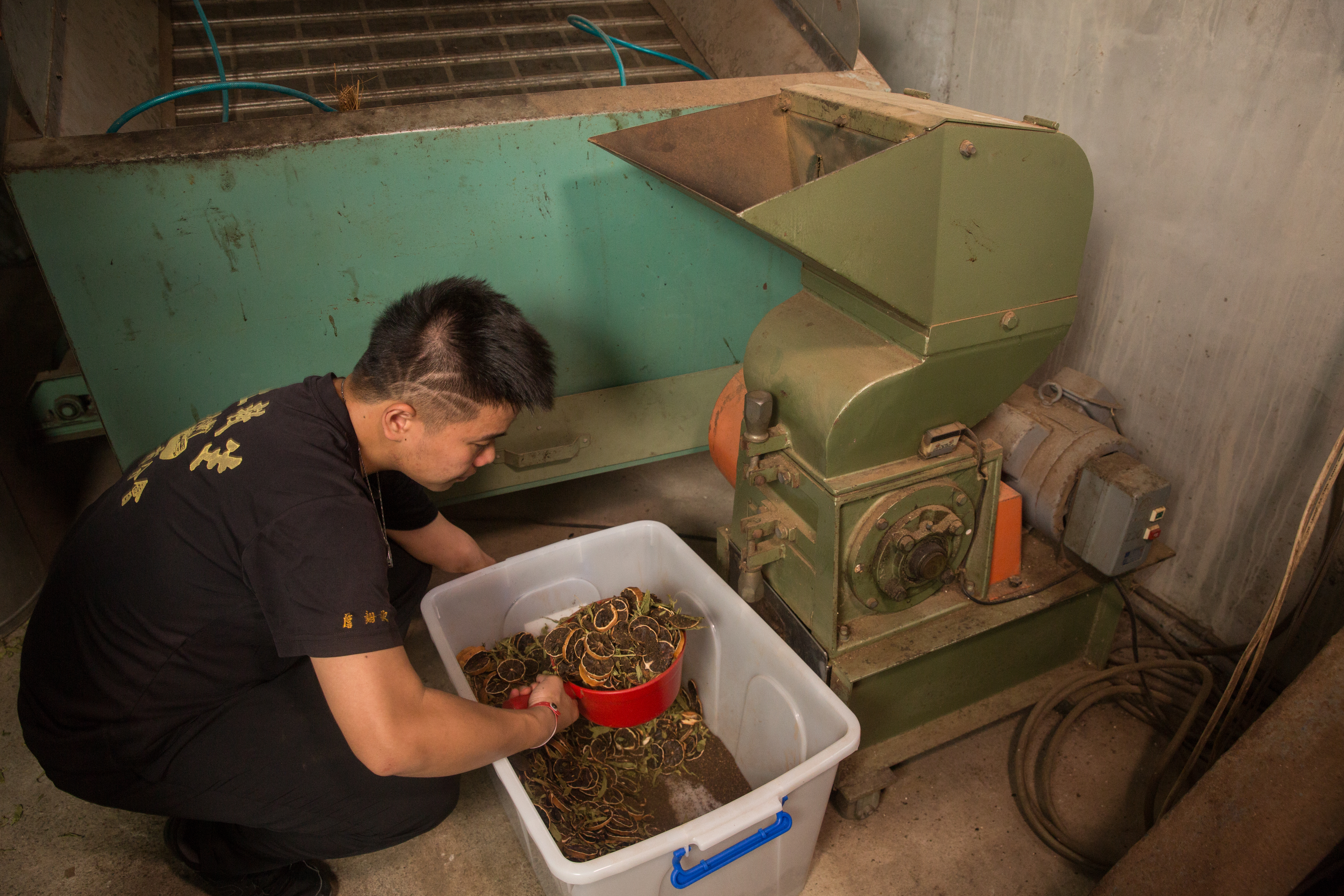 詹翔欽把曬乾、烤過的檸檬片與甜菊葉、紅茶一起放進機器中攪碎，香味四溢。