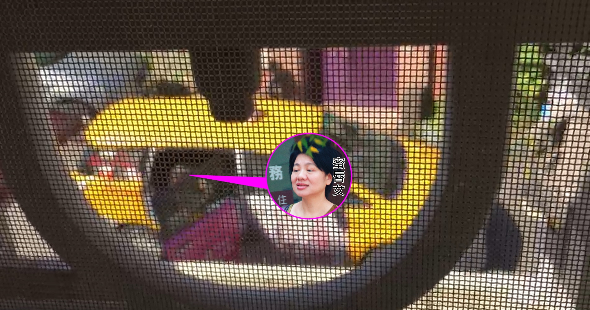  同居消息曝光後，陳女未再進司馬中原家門，司馬中原的子女於是將她的私人物品打包，請陳女前往帶走。