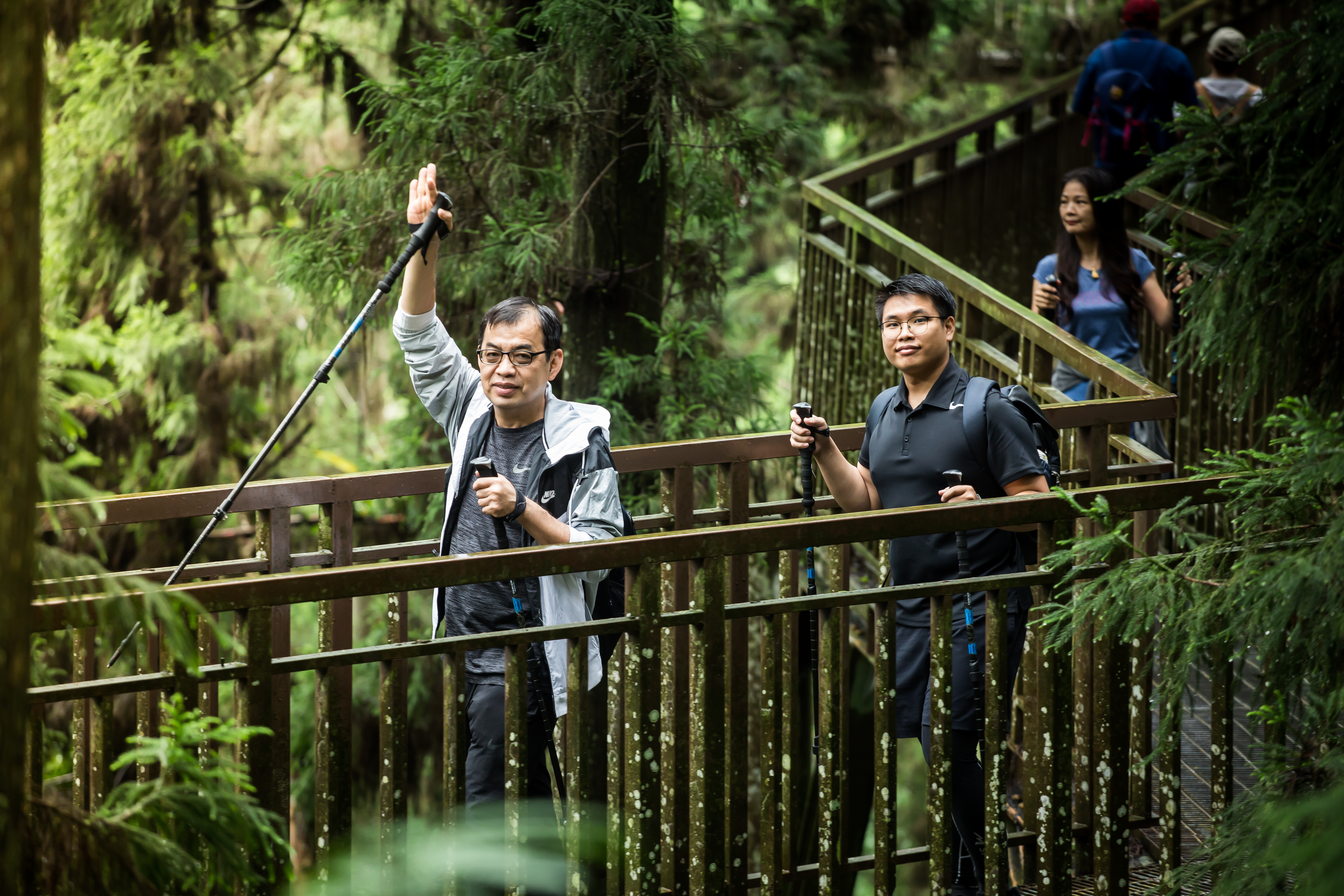 每逢週休二日，鄭廳宜都到南投溪頭健行，一邊吸取芬多精一邊思索投資。