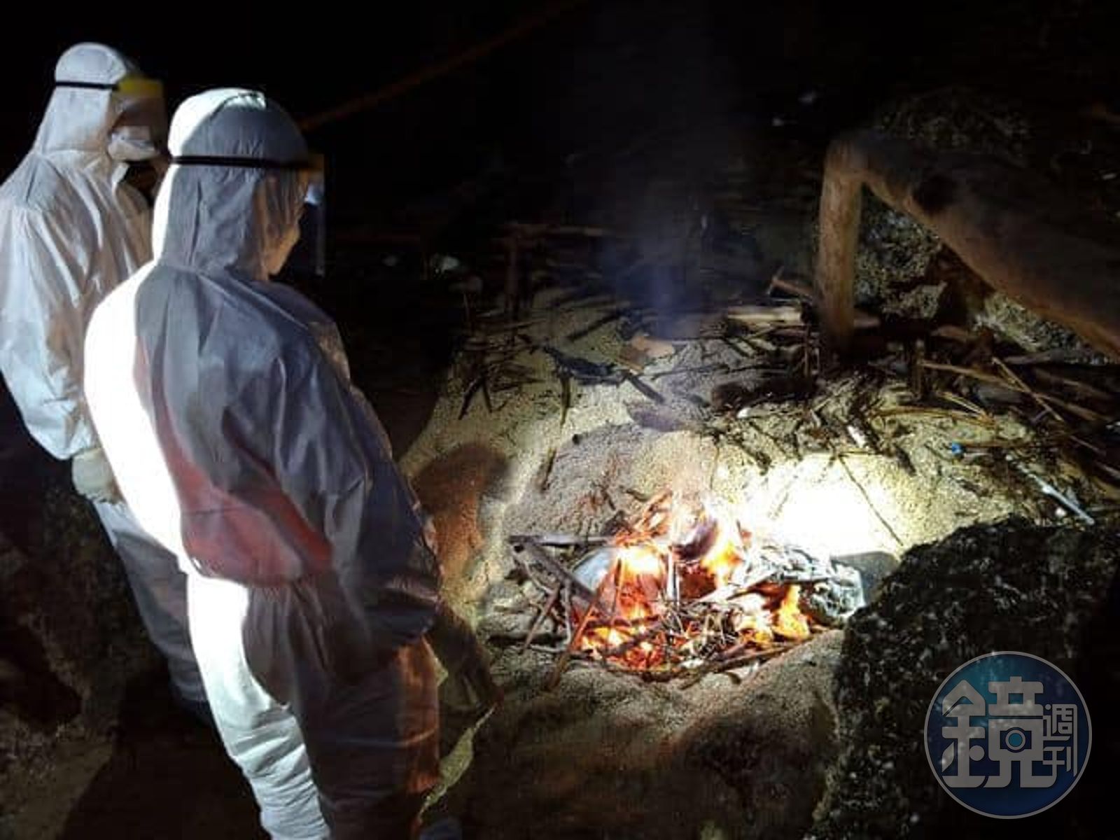 為防止非洲豬瘟涉足台灣,海巡人員辛苦忍受高溫,採樣後就地處理海漂而來的豬隻屍體。(翻攝自海巡署長室 Coast Guard粉絲專頁)
