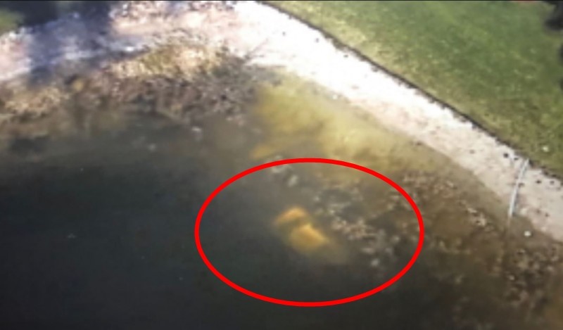 民眾在Google衛星地圖發現一輛沉在池塘裡的車，警方拉起車輛後找到了人類骨骸，偵破一樁22年懸案。（圖擷自Charley Project網站）