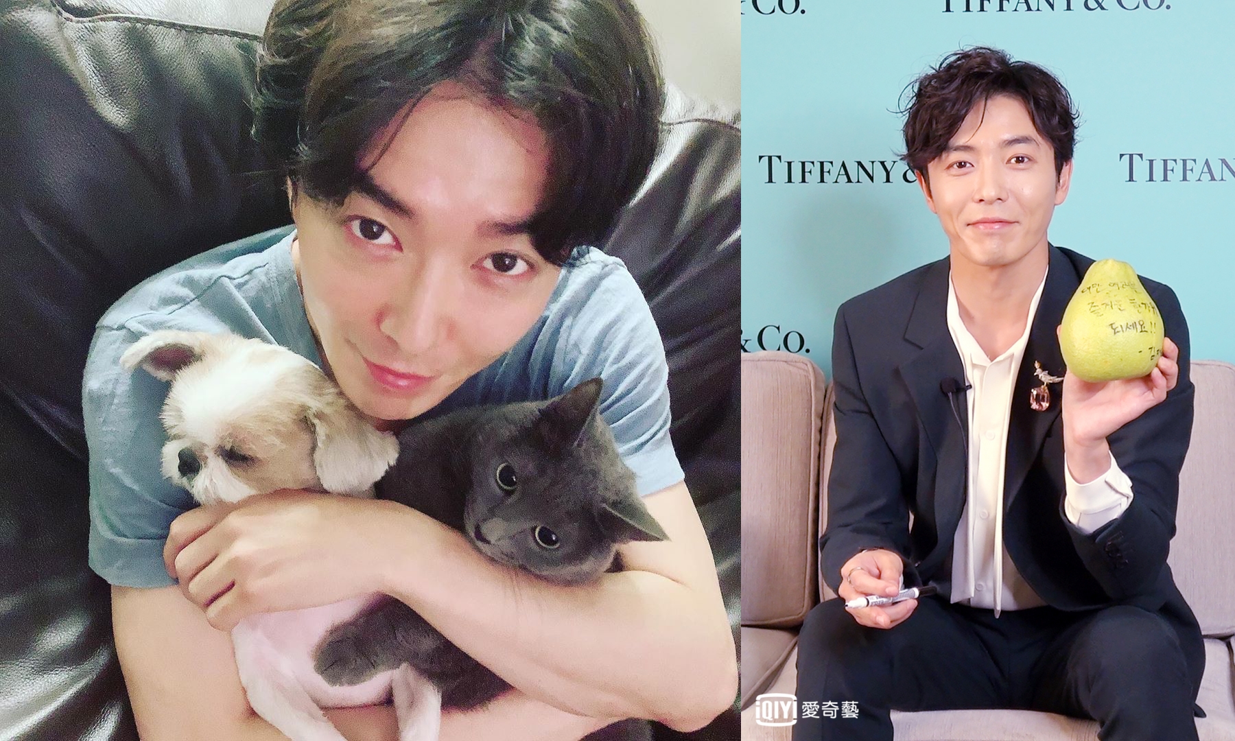 金材昱以他與愛寵的全家福向粉絲祝賀佳節愉快。（合成圖片，左翻攝金材昱IG，右為愛奇藝台灣站提供）