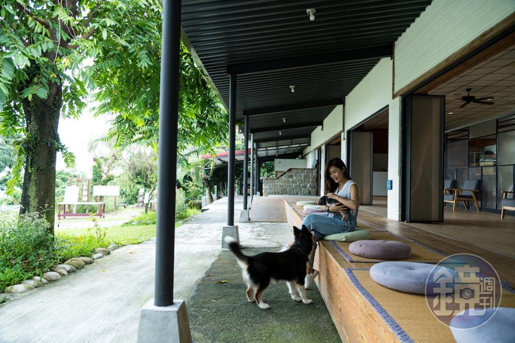 仙湖是快樂農場,鮮果、咖啡和小動物都過得很快樂。