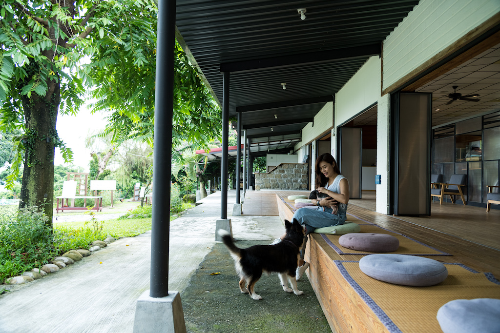 仙湖是快樂農場，鮮果、咖啡和小動物都過得很快樂。