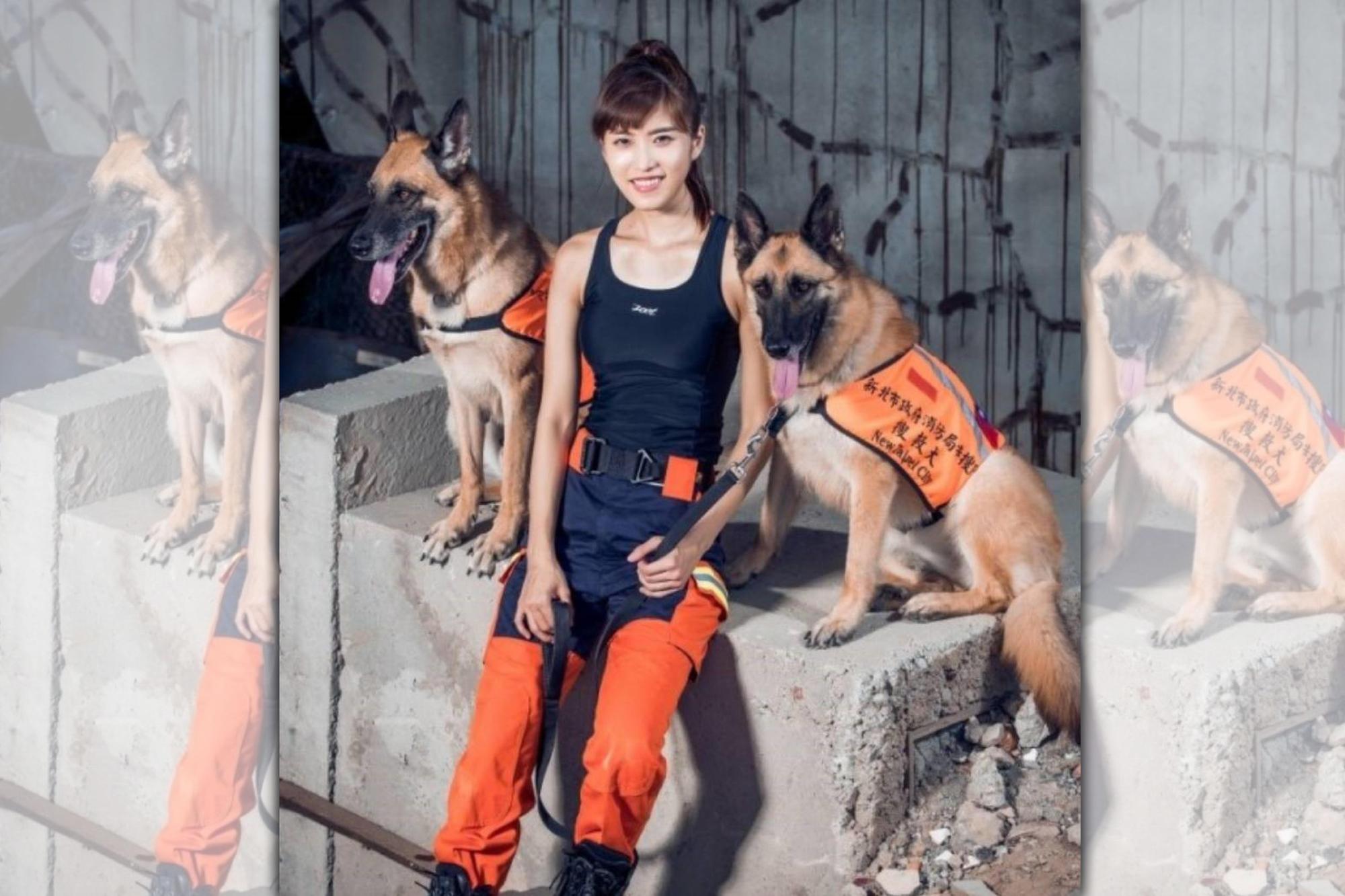 新北市消防局今年有2隻退役搜救犬開放認養，左為Mumu（姆姆）、右為Chino（奇諾）。（翻攝畫面）