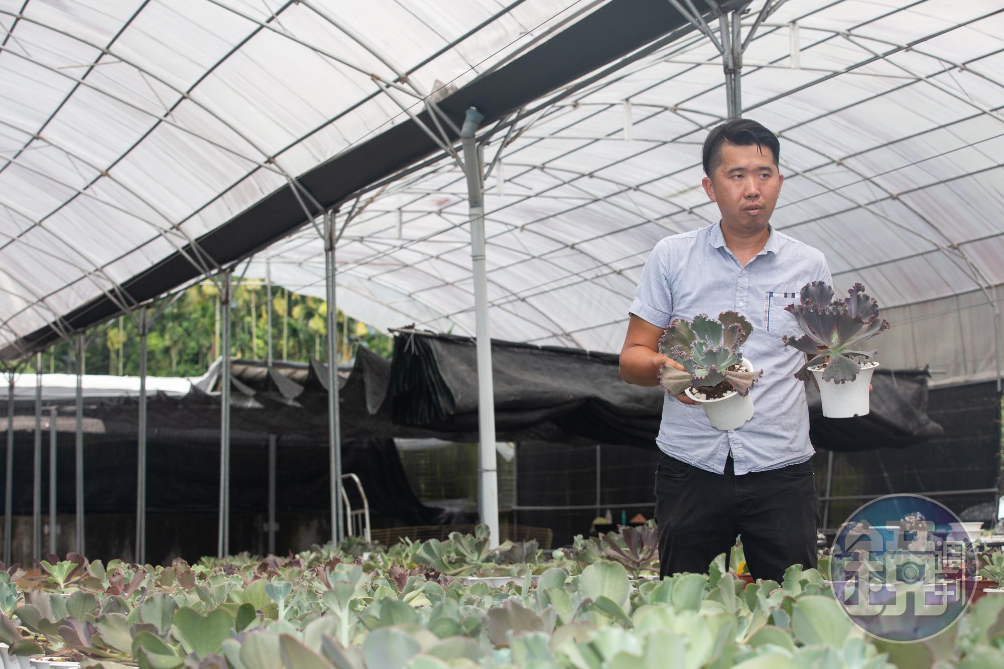 從小喜歡種植多肉植物,羅維振特別搭建了溫室,今年開始繁殖販售。