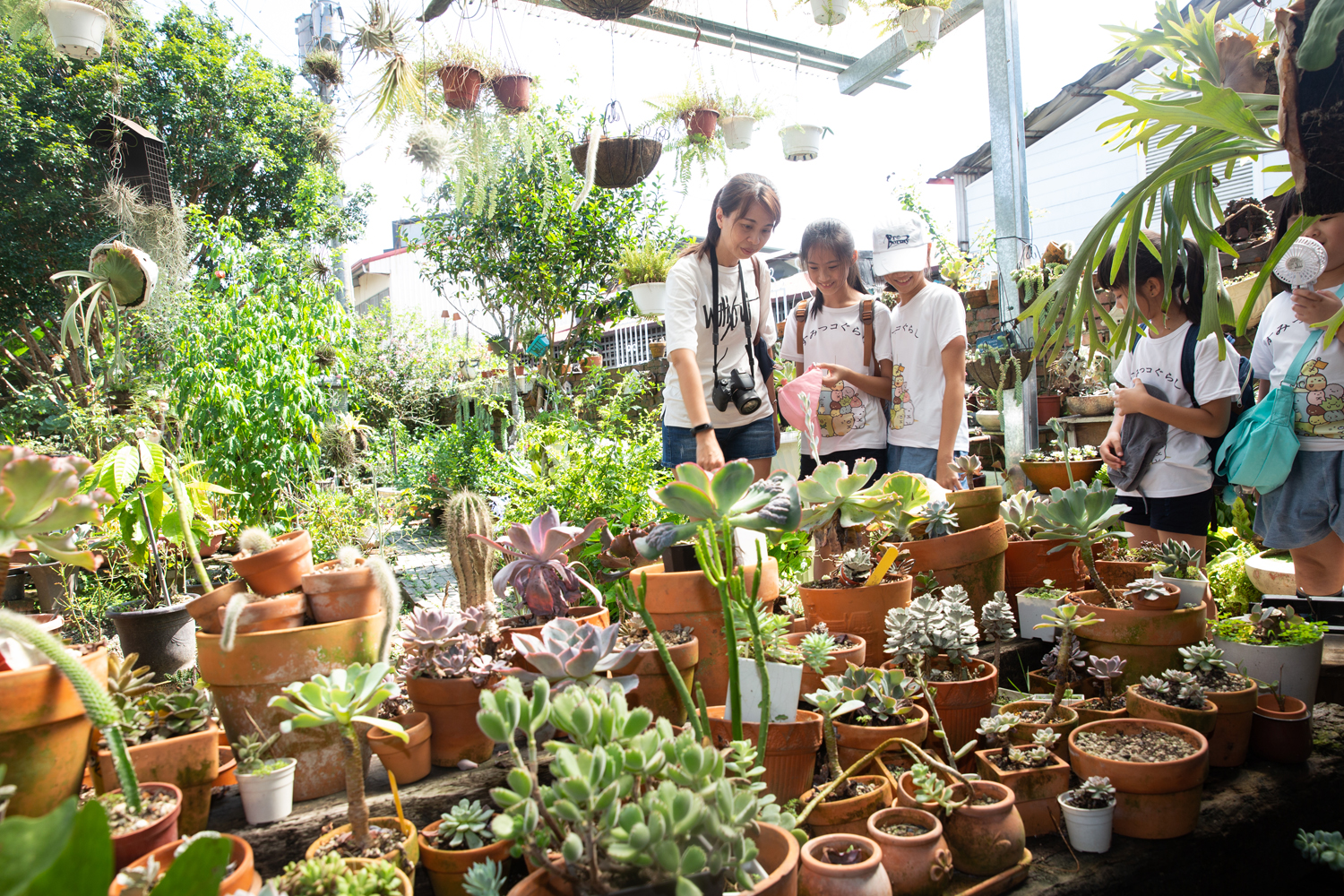 烏牛欄手作巧克力花園內有上百坪空間擺放多肉植物,吸引許多「肉友」前往朝聖。
