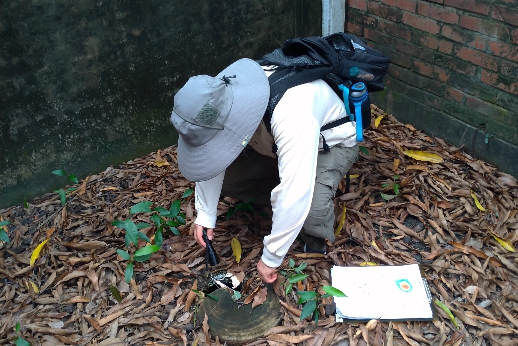 疾病管制署今（25日）公布台南市新增1例本土登革熱病例。（疾管署提供）