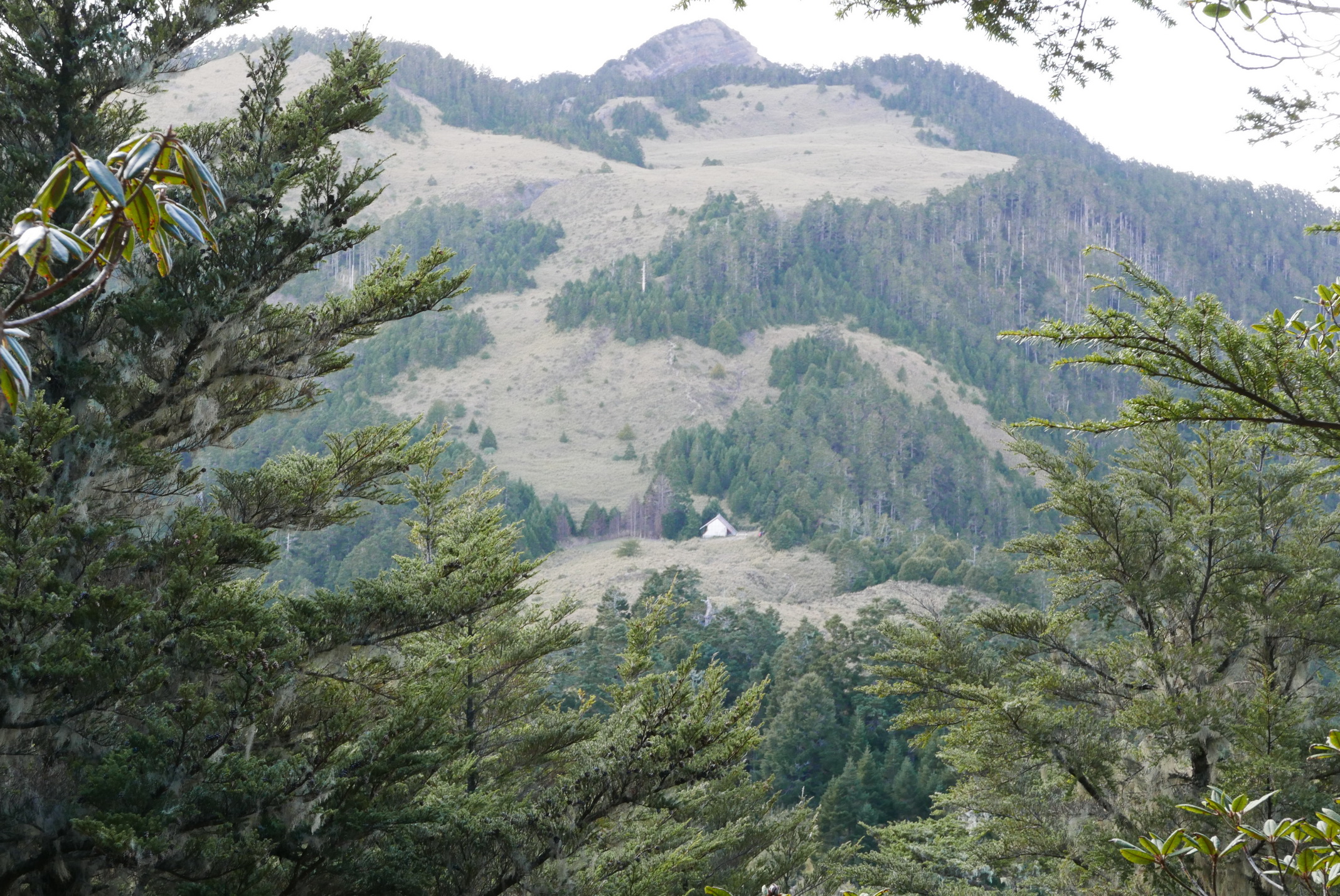 從池有山的山頂可清楚看見桃山山屋。