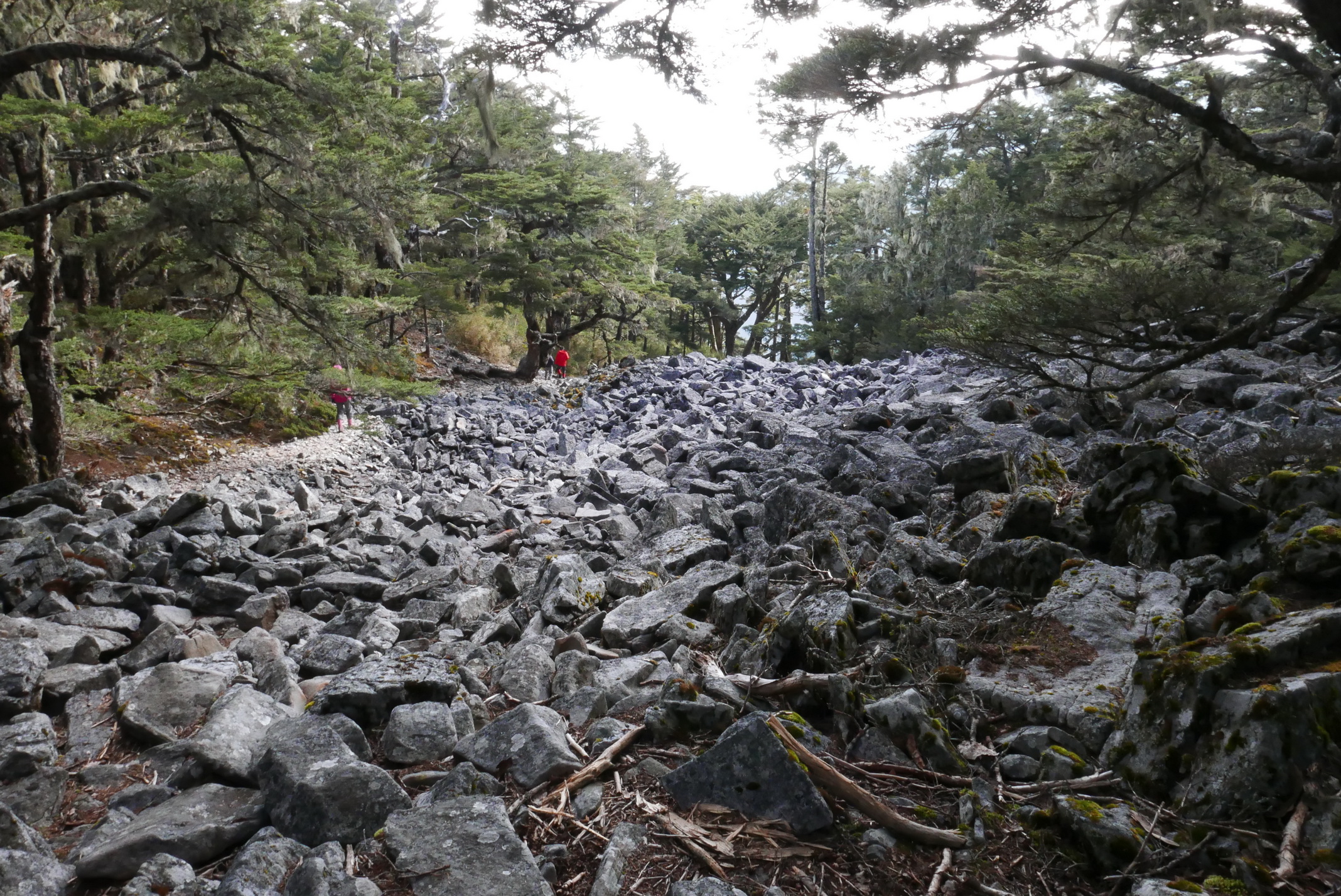 前往池有山，為一片巨石坡。