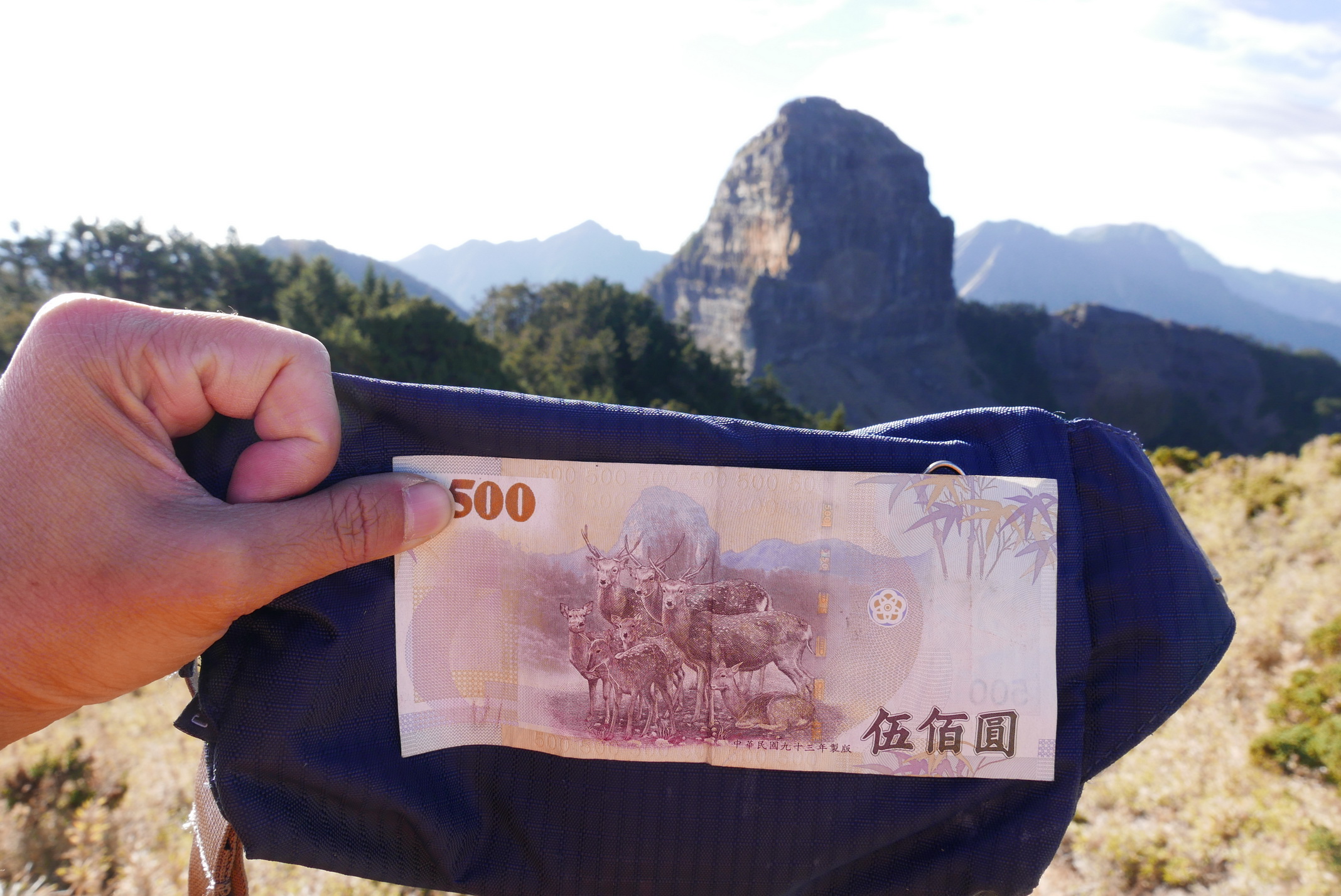 新台幣500元上除了水鹿，後方為大霸尖山。