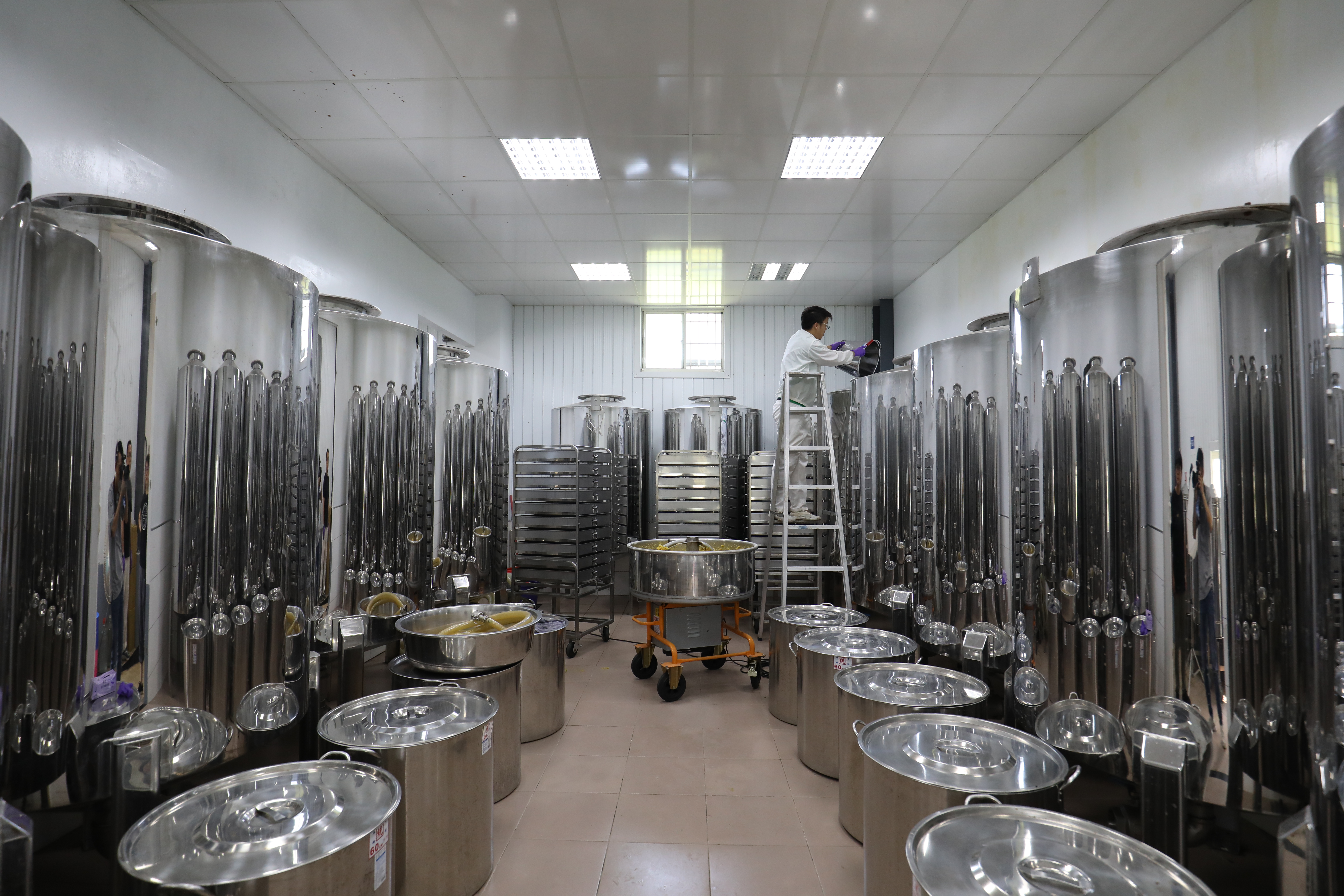 地瓜漿加水後，入不鏽鋼桶發酵約80天。