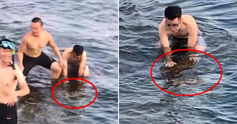 網友到小琉球遊玩，拍攝影片發現有遊客疑似手腳並用壓制騷擾海龜。（翻攝自小琉球聯盟臉書）