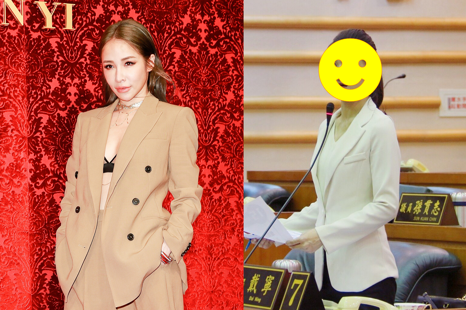 郭台銘與柯文哲雙母雞合作拚國會席次，鎖定嘉市無黨籍市議員戴寧（右），戴也有「山寨版蕭亞軒」之稱。（右圖翻攝自戴寧臉書）