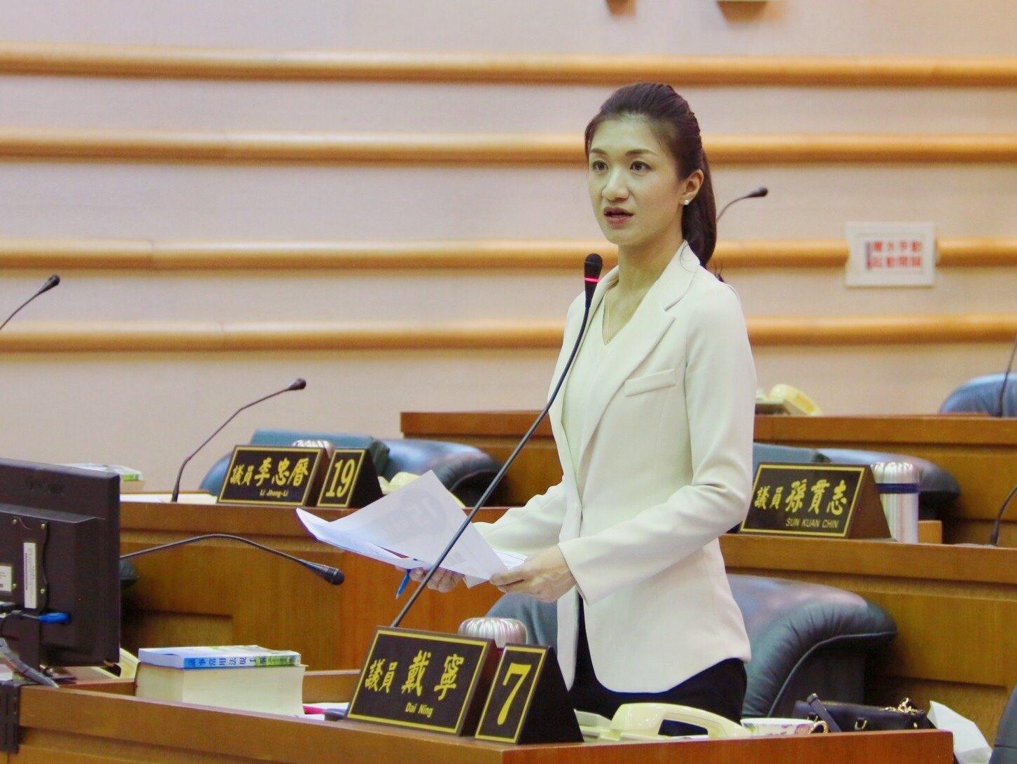 嘉市無黨籍市議員戴寧有「山寨版蕭亞軒」之稱,還數度被po上PTT表特版。(翻攝自戴寧臉書)