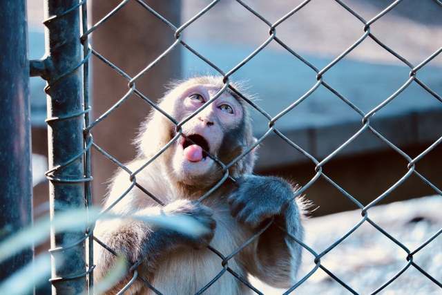 專家表示，其實真正高品質的性愛，並不用持久，有效率才是重點。（Pexels提供）
