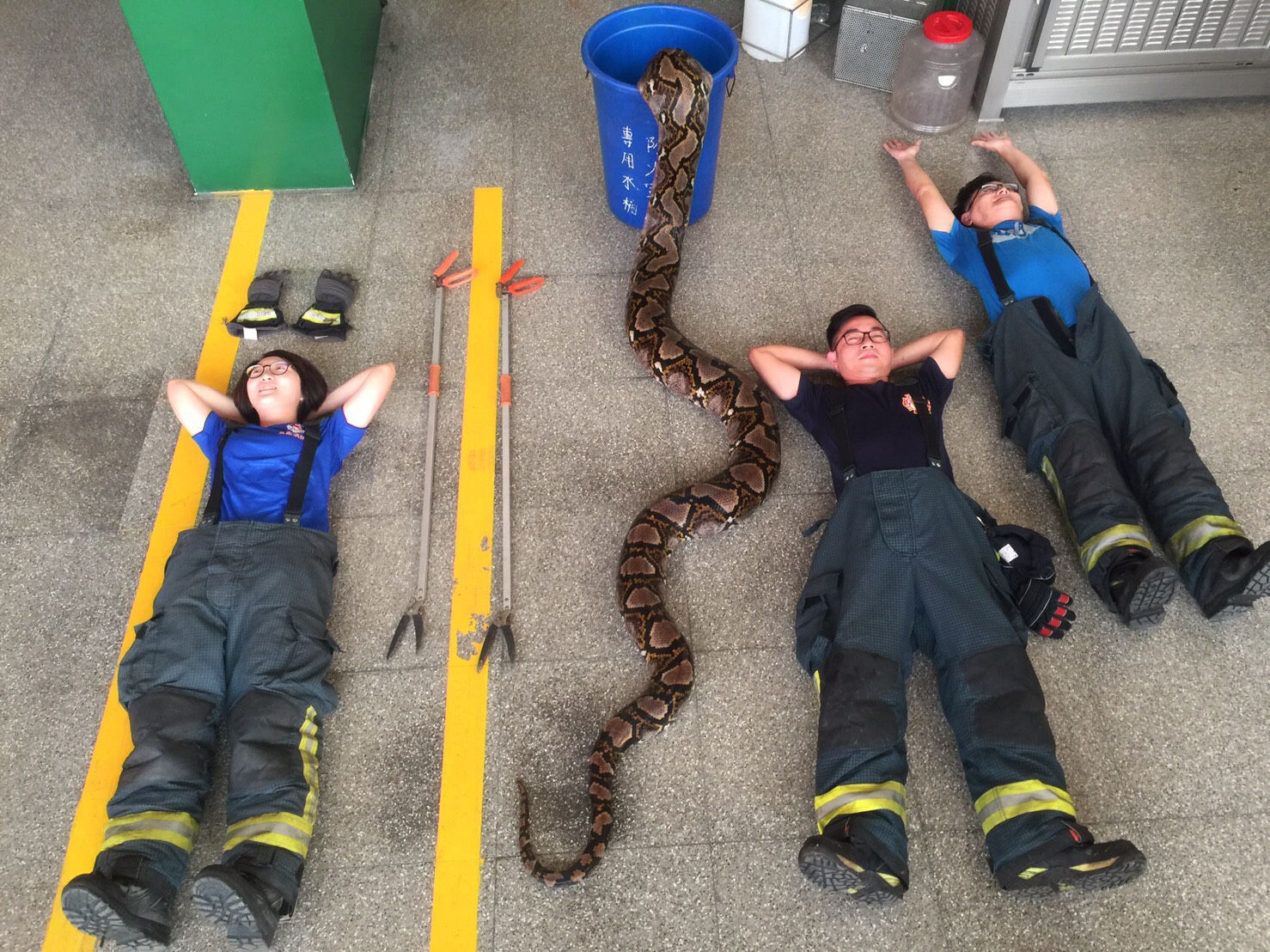 消防隊員與巨蟒合拍開箱照，網友直呼佩服警消的勇氣。（讀者提供）
