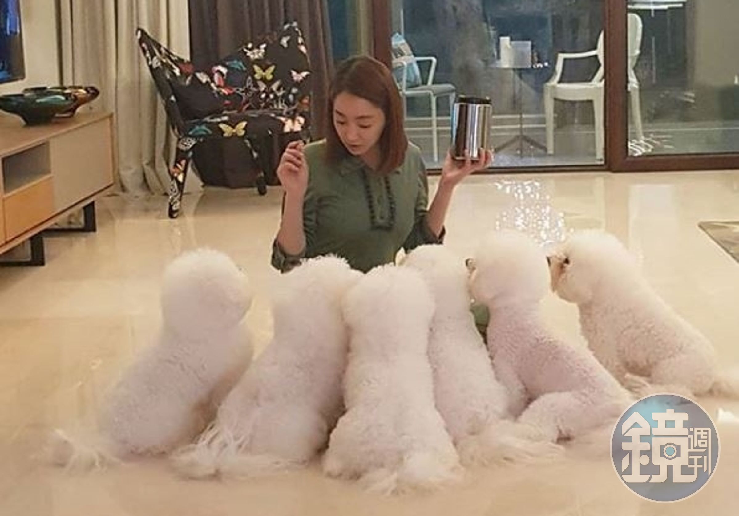徐孝琳經常在社群媒體上分享與6隻愛犬的生活點滴。（中天提供）
