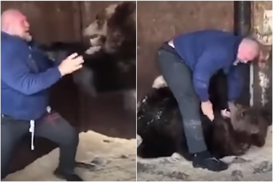 一名俄羅斯格鬥選手諾沃斯洛夫（Maxim Novoselov）跟灰熊搏鬥，引起網路熱議。（翻攝自YouTube）