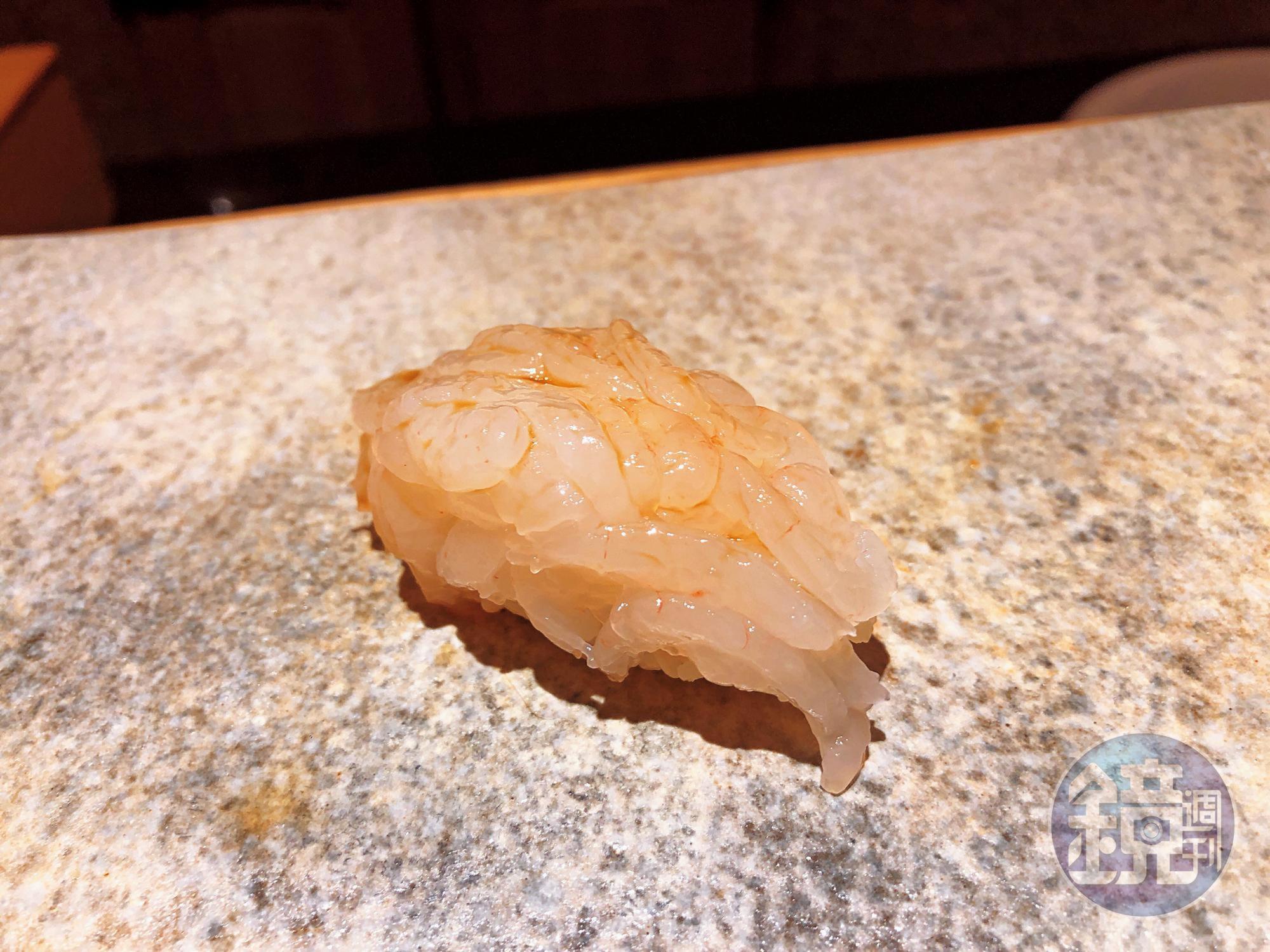 又甜又糯的富山白蝦,一隻隻堆疊在醋飯上,也很考驗技巧。