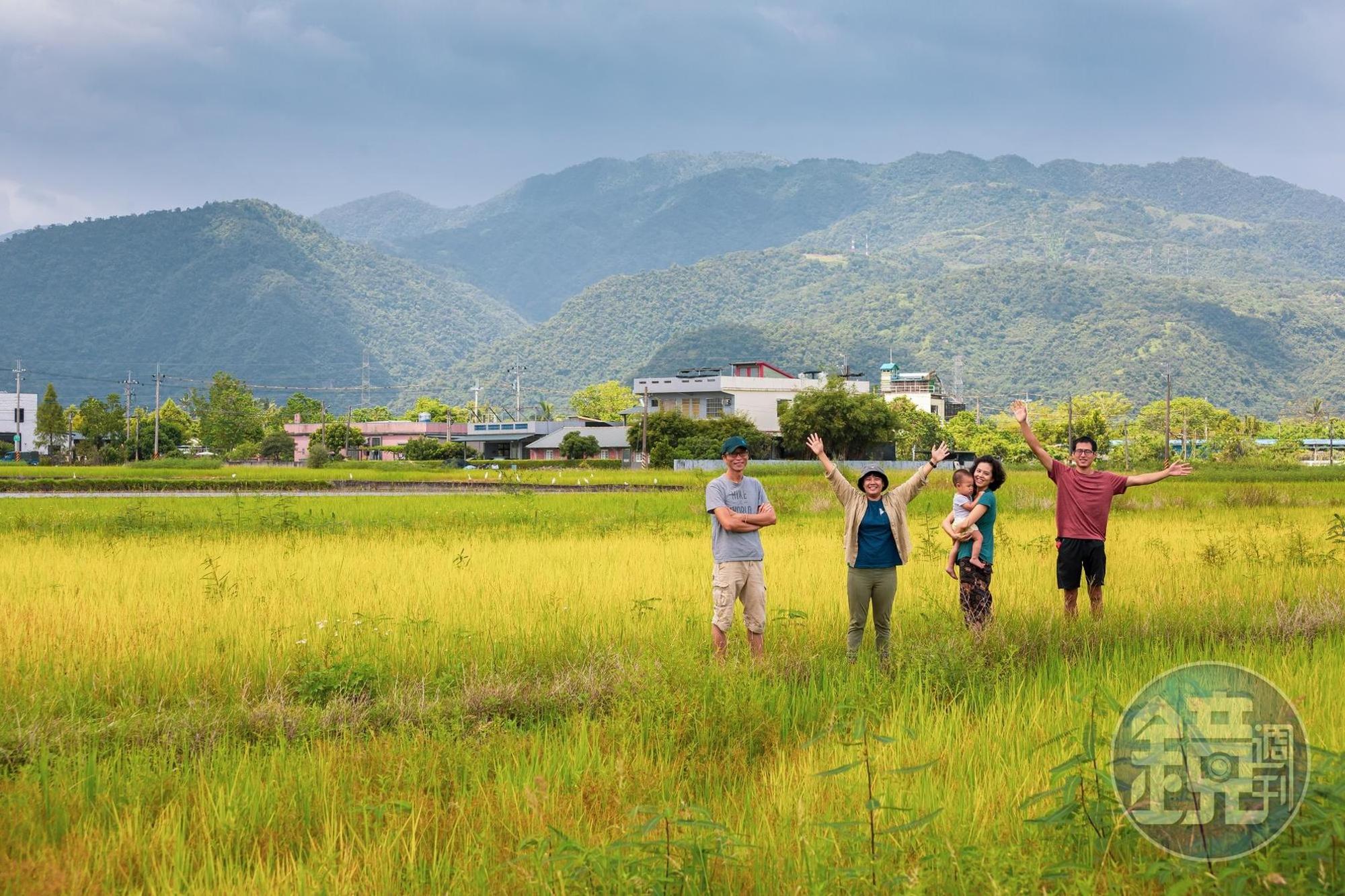 深溝的田此時休耕,田間恣意長出稻,走在田裡後方有山,景色怡人。