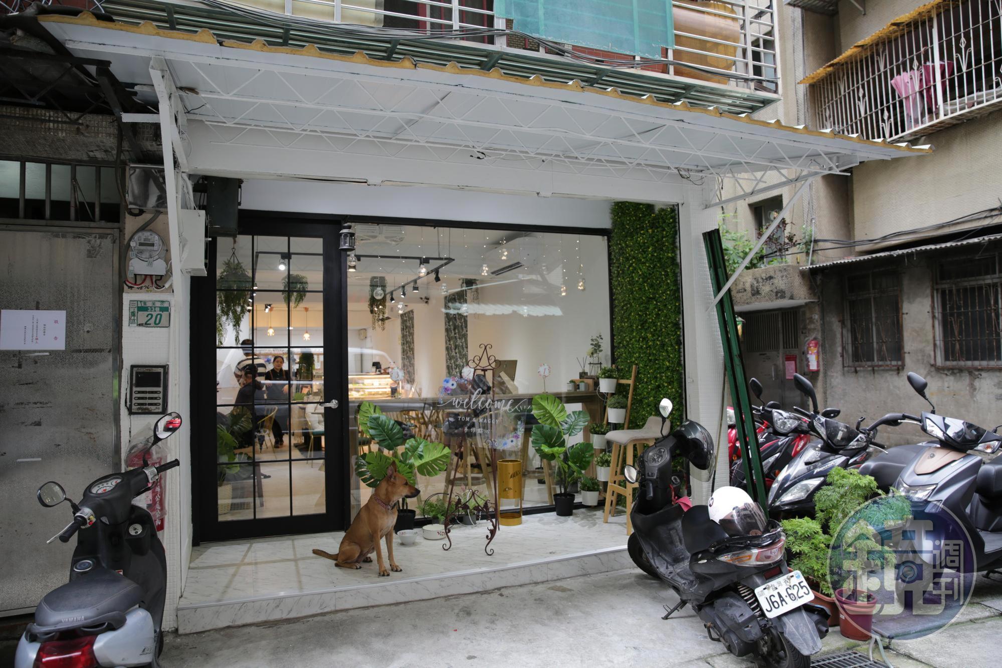 「TOM&MAGGY幸福肥・手作點心」從公園販售起家，現在有了漂亮店面。